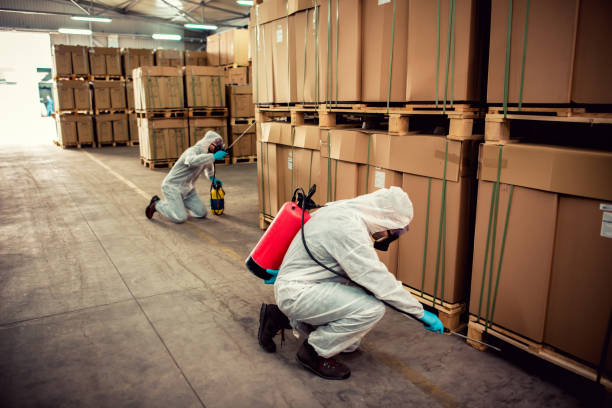 Reliable Ingram, TX Pest Control Solutions
