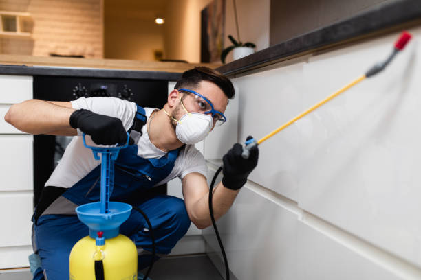 Best Pest Inspection Near Me  in Ingram, TX