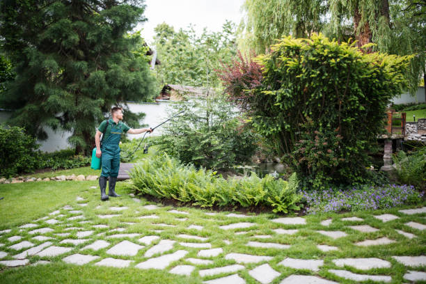 Best Pest Removal Services  in Ingram, TX