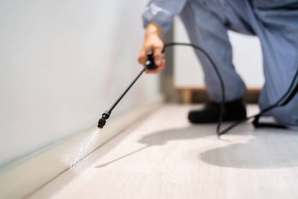 Pest Control for Restaurants in Ingram, TX