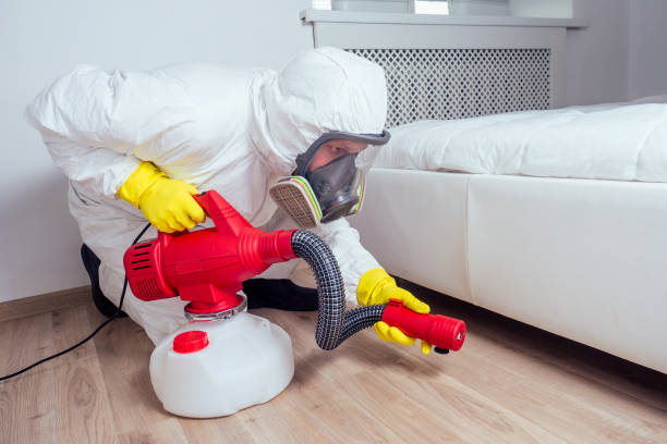 Best Commercial Pest Control Services  in Ingram, TX