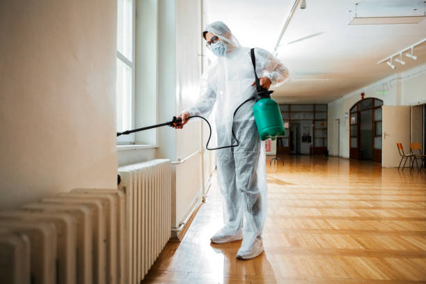 Best Residential Pest Control  in Ingram, TX