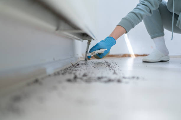 Best Wildlife Control Services  in Ingram, TX
